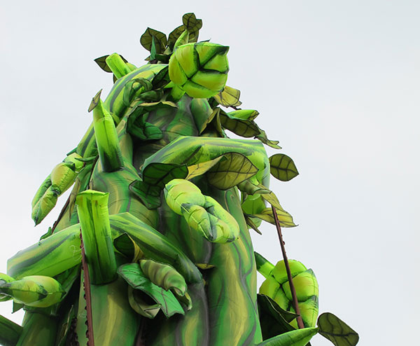 Beanstalk - special effects for pantomimes