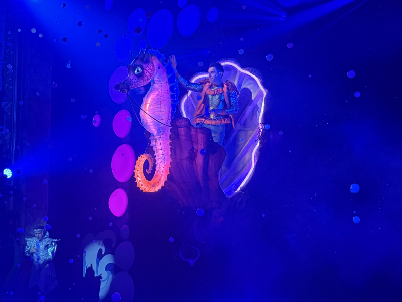 Dawn the Seahorse and Carriage